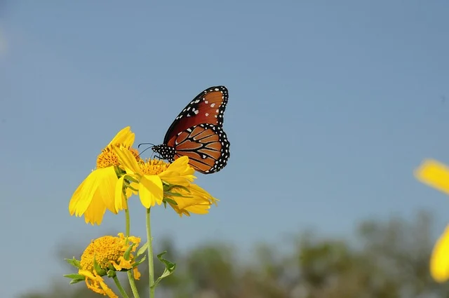 교육공무직 재택근무