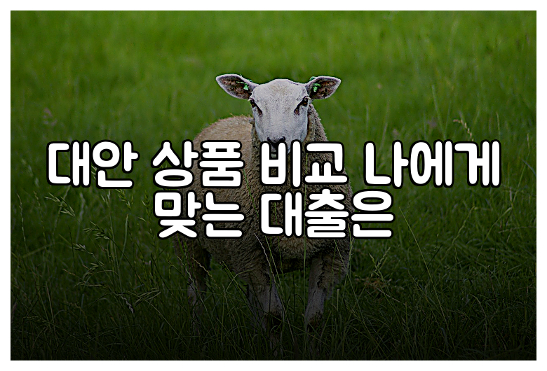 대안 상품 비교 나에게 맞는 대출은