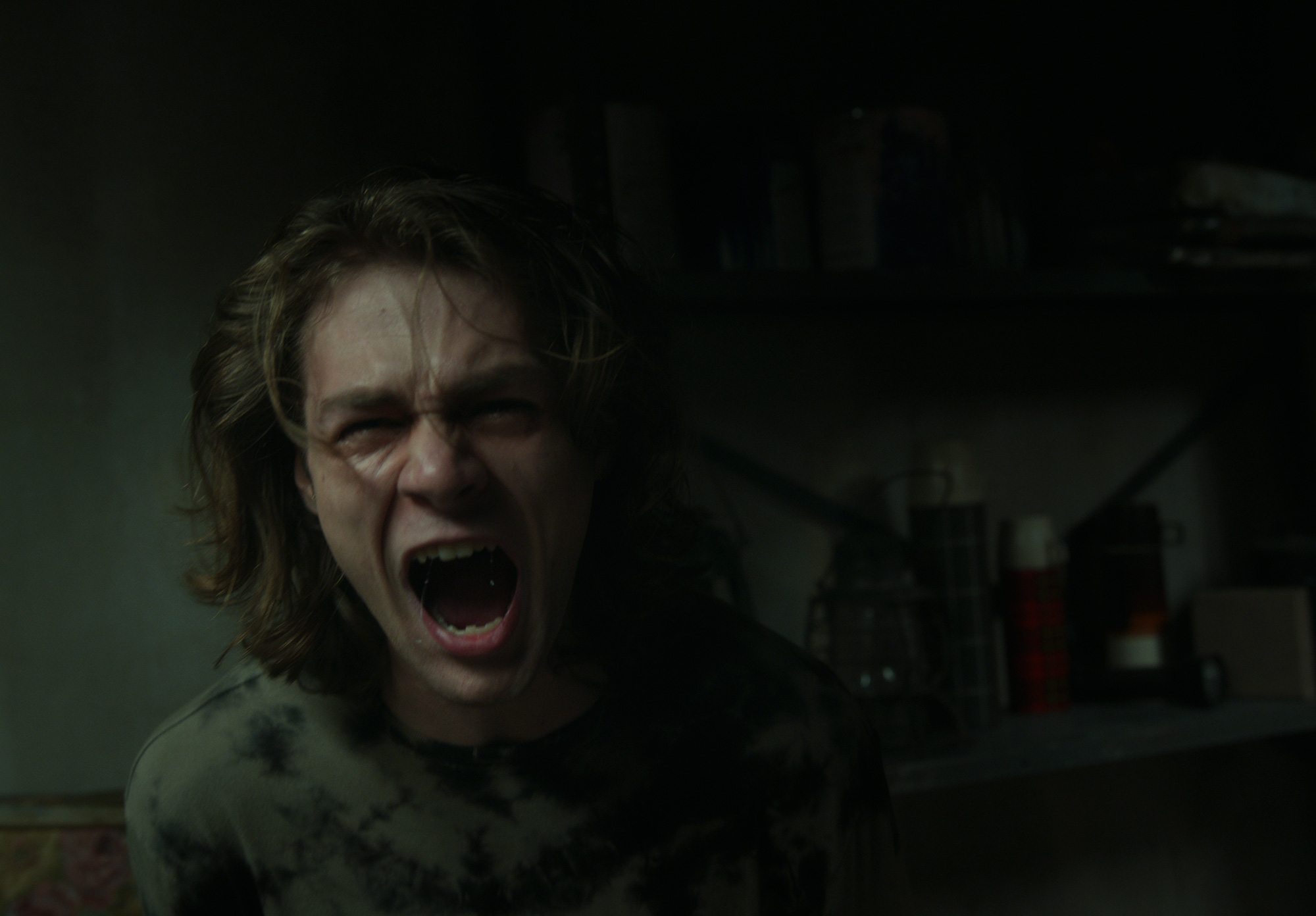 【캐나다 공포영화 추천】 인시디어스: 빨간 문 다시보기 줄거리 결말 후기 리뷰 스포일러