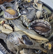 가물치오골계탕