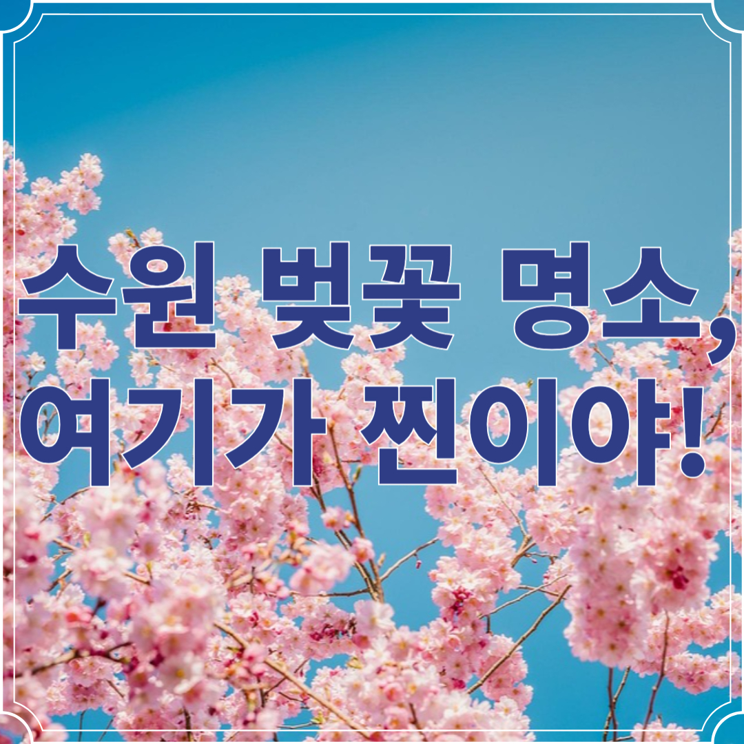 경긷도청 봄꽃축제 가이드