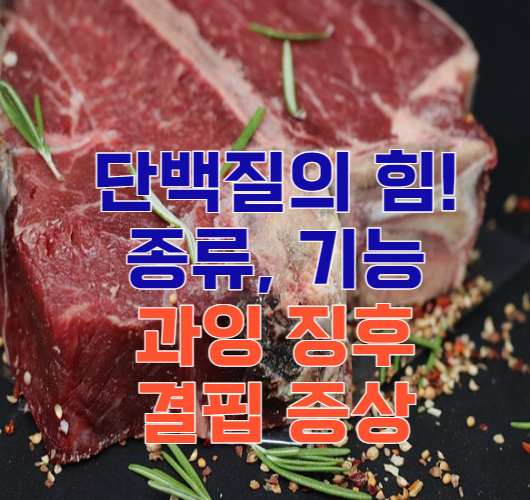 단백질 종류 기능