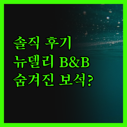 일레븐 B&B, 뉴델리의 숨겨진 보석