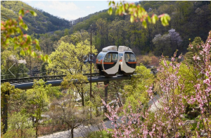 화담숲 수선화 축제