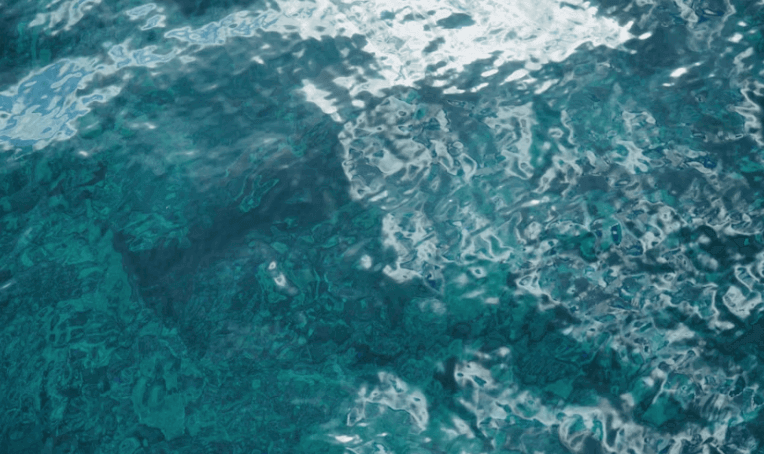 5월 바다 밥상 이벤트 신청하기