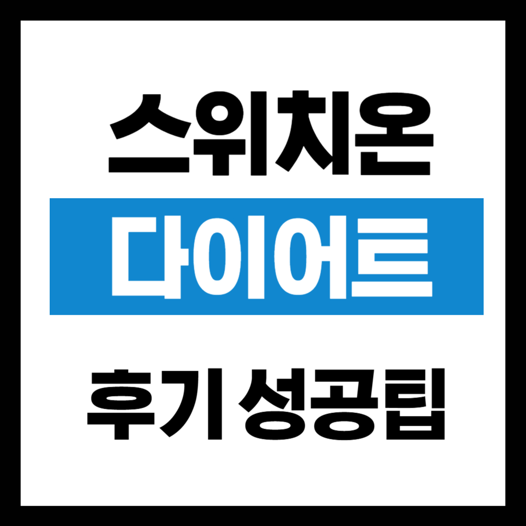 스위치온 다이어트 성공 후기