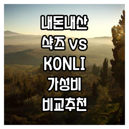 내돈내산 무선 스포츠 이어폰 비교 샥..