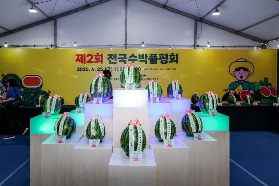 함안세계수박축제