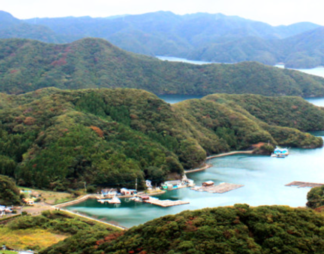 대마도-배편-시간