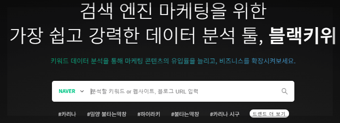 블로그 키워드 분석 사이트 바로가기