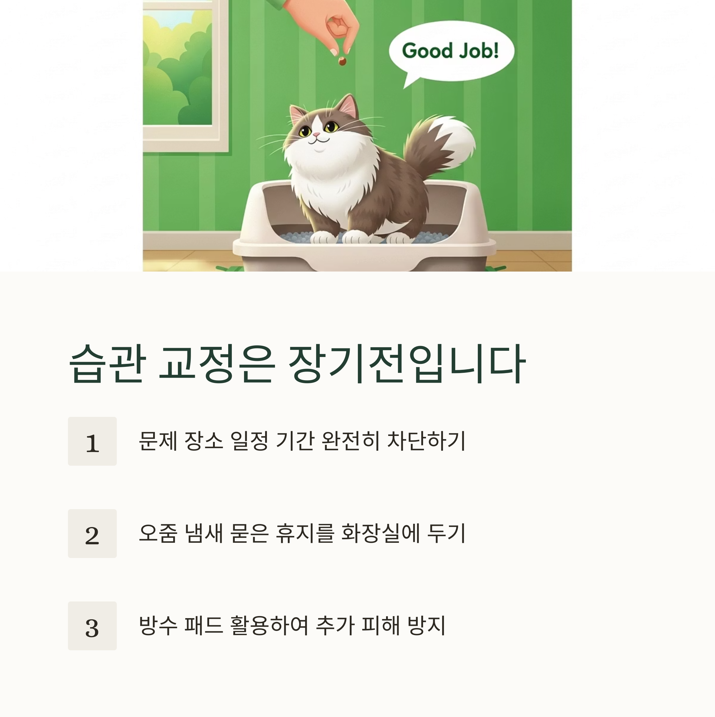 습관 교정은 장기전입니다