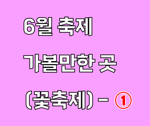 6월 축제 가볼만한 곳 (꽃축제)