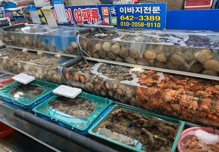 6시 내고향 여수수산시장 금오도 어패류&amp;#44; 대방어회 공주횟집&amp;#44; 돌산갓김치