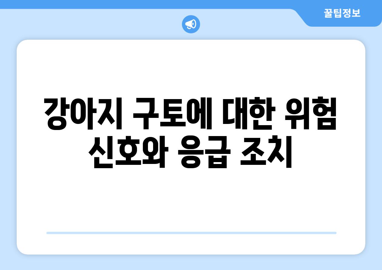 강아지 구토에 대한 위험 신호와 응급 조치