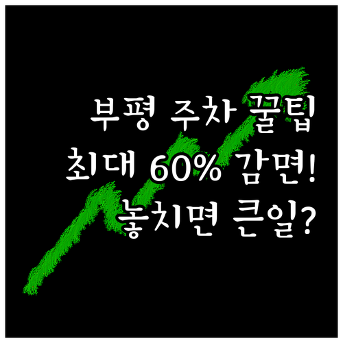 2025 부평구 전기차 경차 이륜차 ..