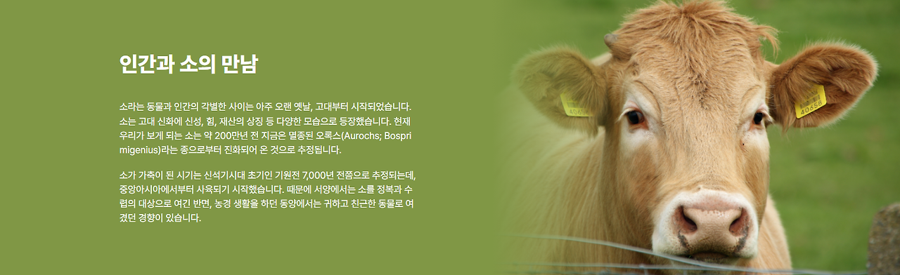 인간과 소의 만남1
