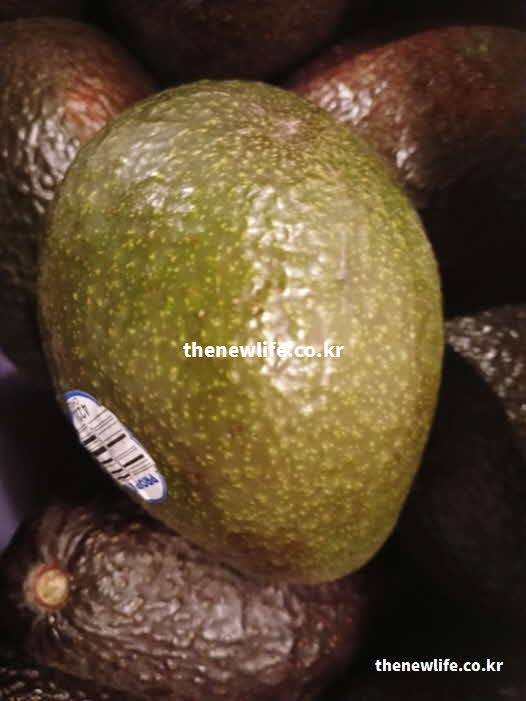 아보카도 효능 영양성분 올레산