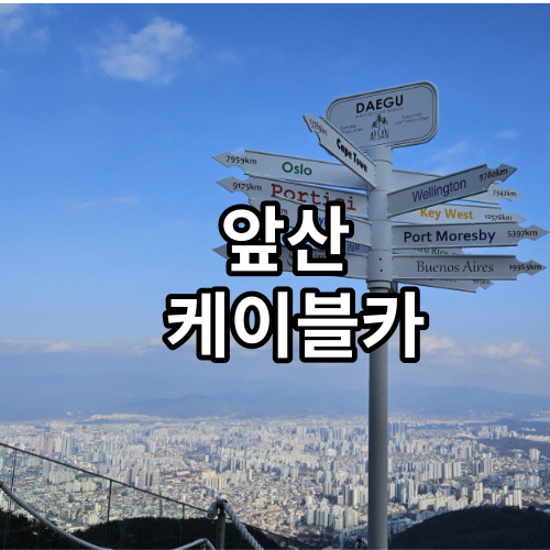 앞산케이블카 SOPRA 옥상전망대