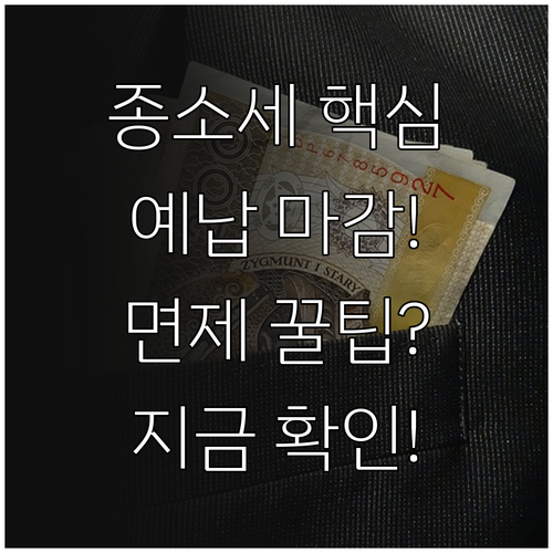 2025 종합소득세 중간예납 납부 기..