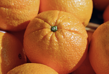 유방암에 좋은음식 14