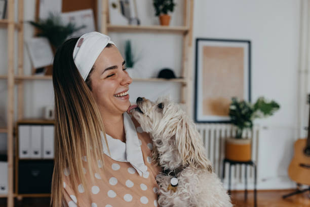 강아지가 주인을 핥는 이유 5가지와 대처방법