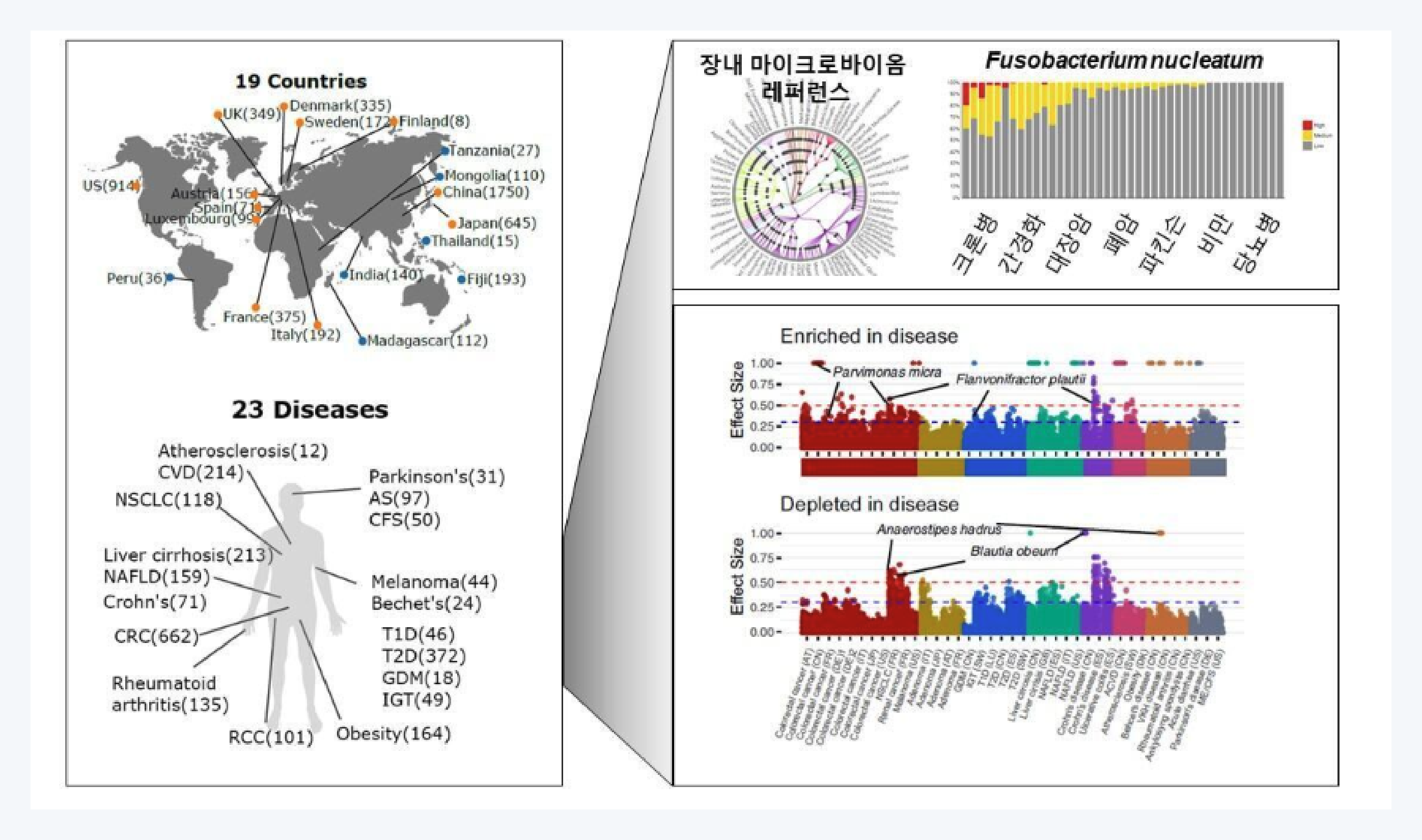 마이크로바이옴