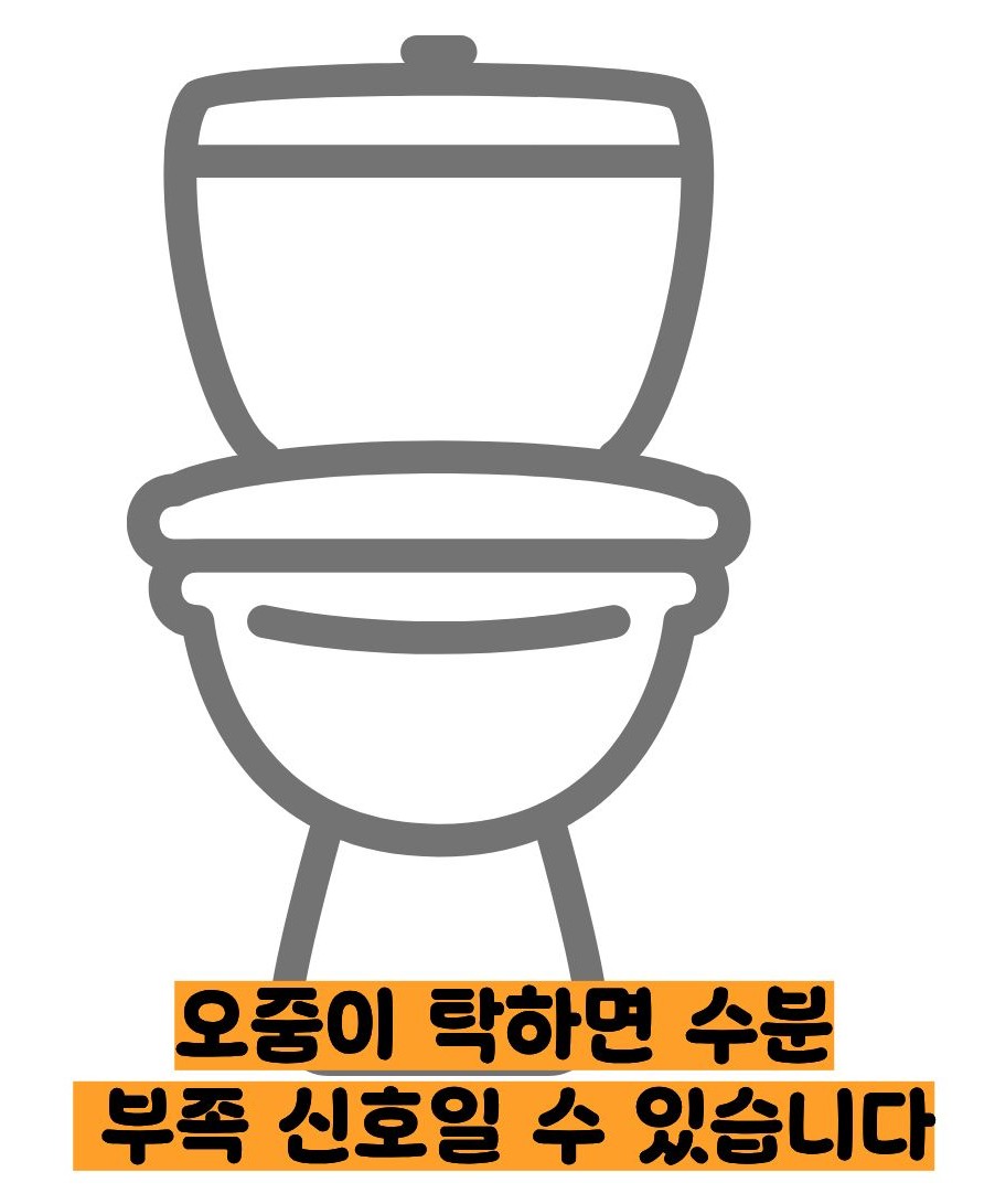 오줌이 탁한이유