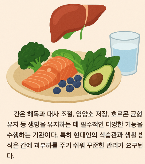 간 건강 관련 사진