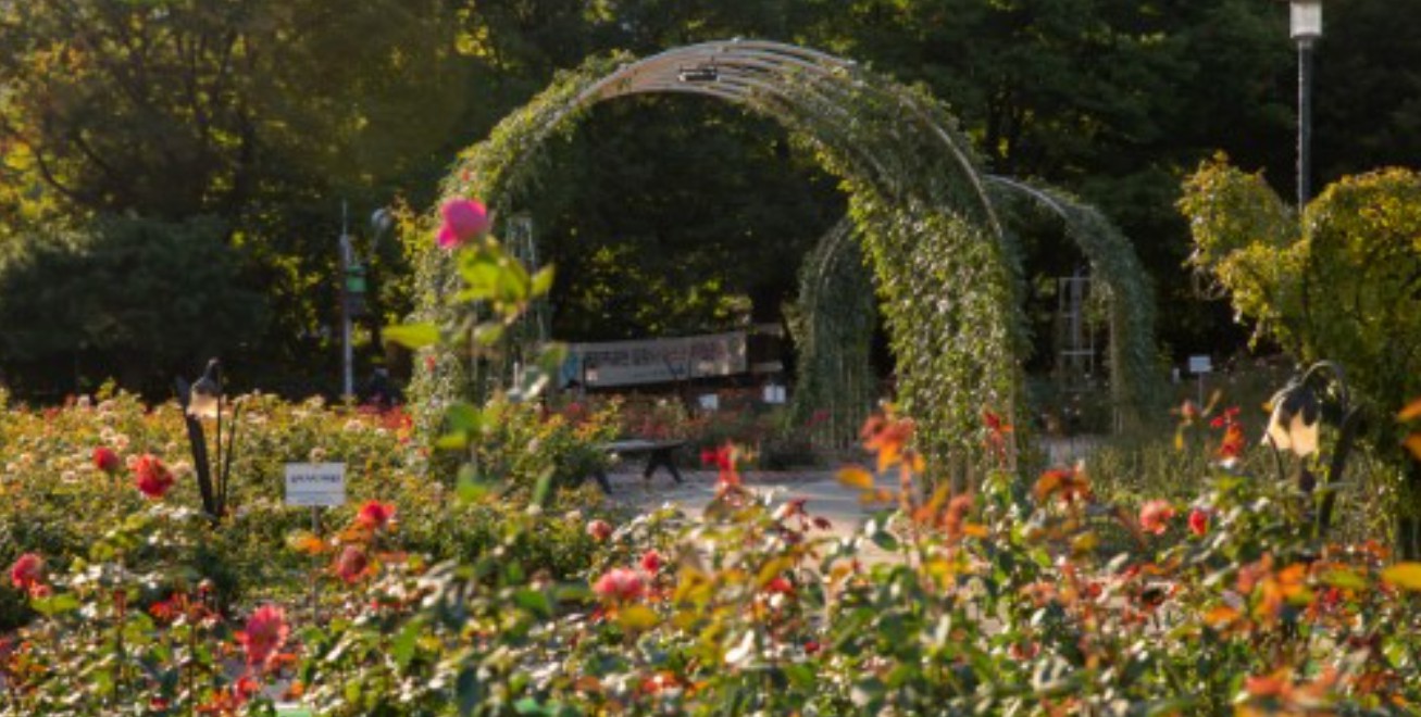 5월 서울 봄꽃 산책로