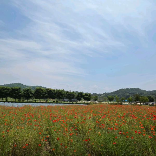 상림공원 