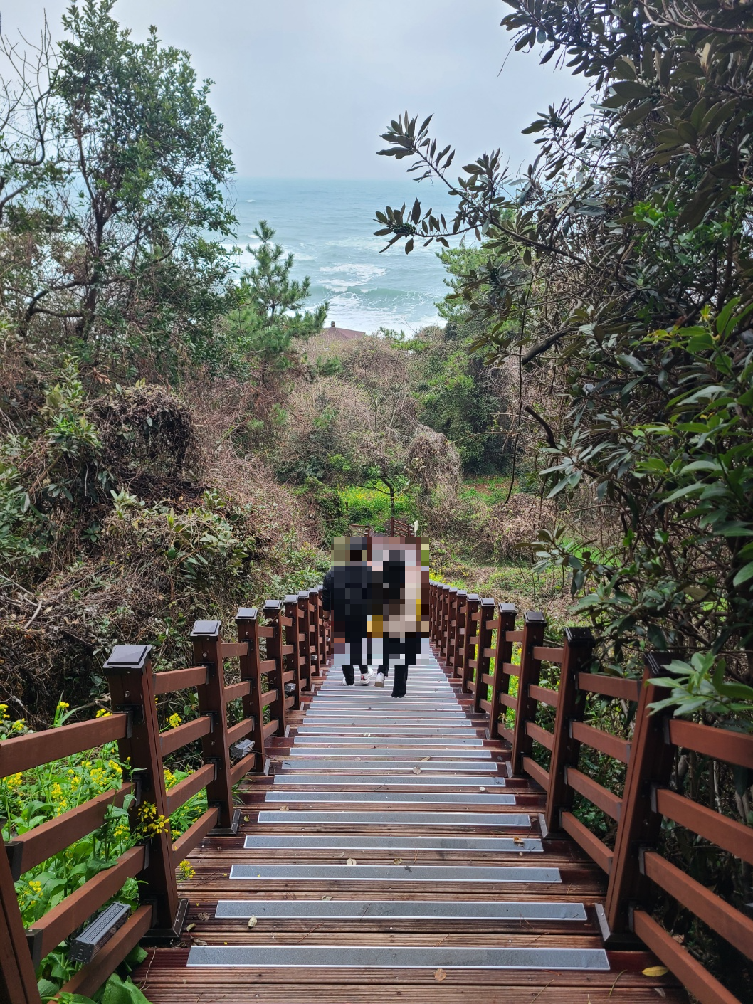 제주 여행 파르나스 호텔 제주