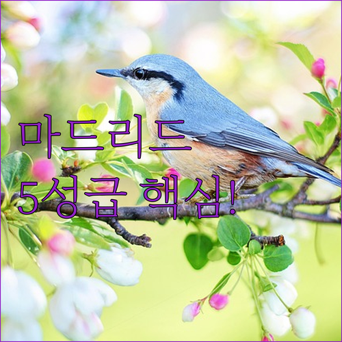 마드리드 그란 비아 초중심지 접근성 ..