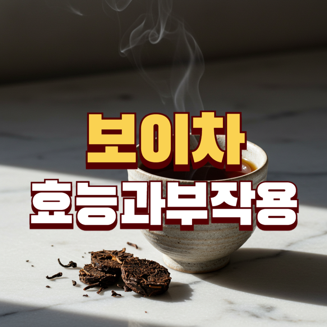 보이차 효능과 부작용 썸네일
