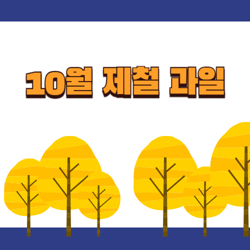 10월 제철과일 단감, 사과, 배, 귤,