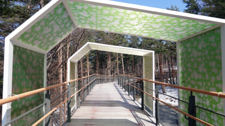 태백산 하늘전망대