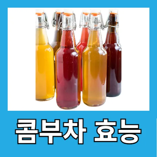 콤부차 효능