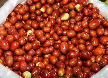 축제4