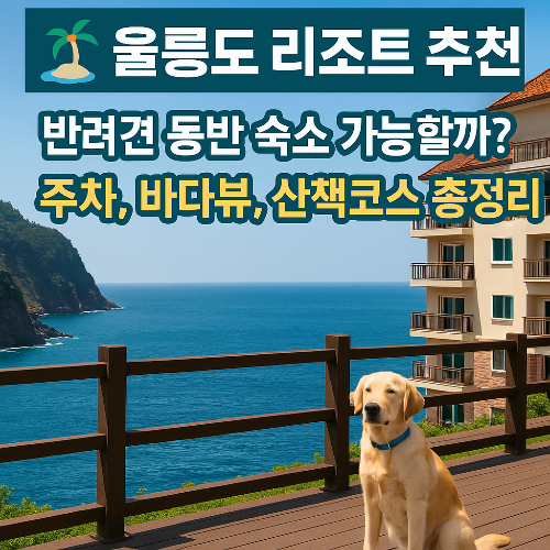 울릉도 리조트 추천! 반려견 동반 숙소부터 주차&middot;뷰 맛집까지 총정리