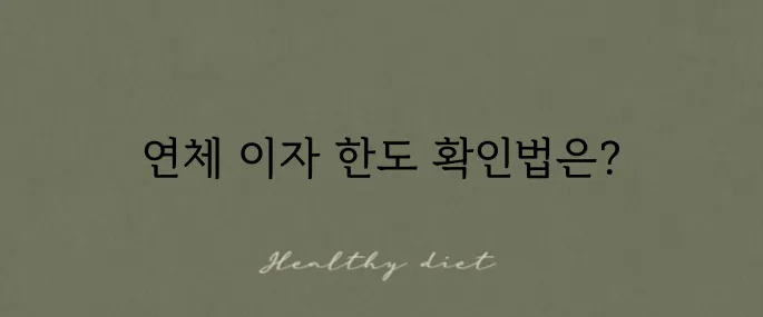 쿠팡 나중결제 연체 이자 한도 확인하는 방법을 알려드립니다!