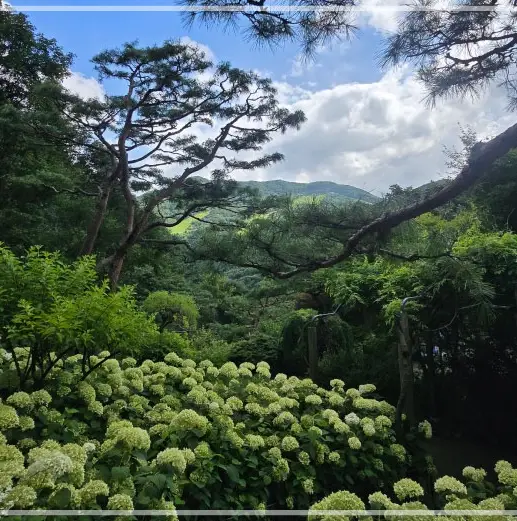화담숲-예약하기-입장료-운영시간