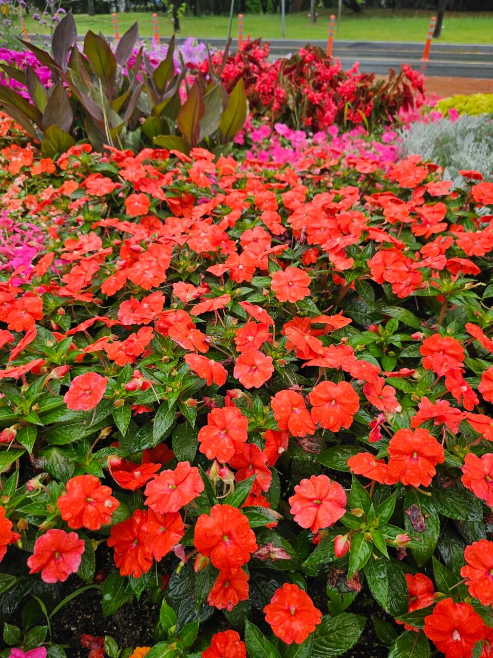 선진국의 청각장애인 지원 정책