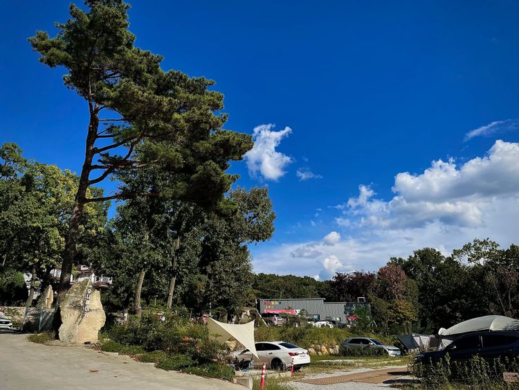 인천 우니메이카 캠핑장 강화점 소개