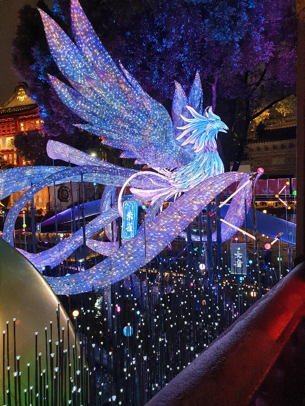 긴 꼬리 날개가 인상적인 불새