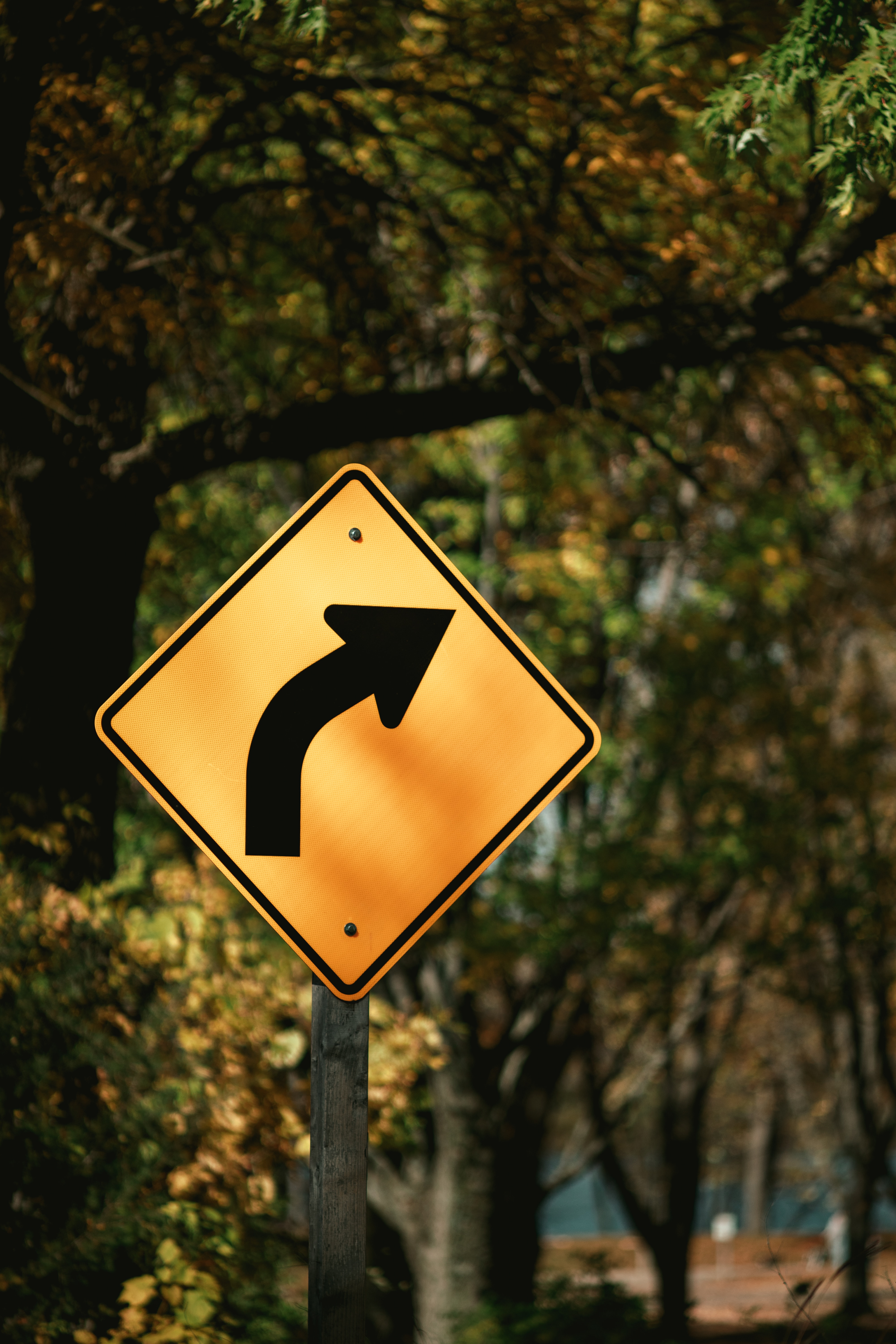 우회전 일시정지