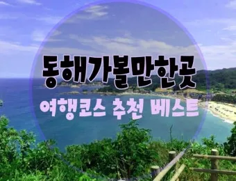 동해 가볼만한곳 맛집 추천 카페 봄 베스트 10_7