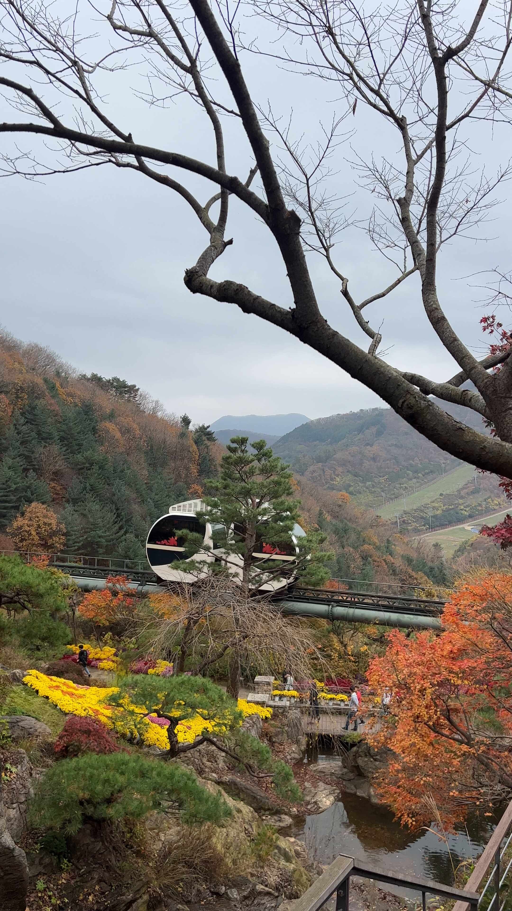 곤지암-화담숲-예약-전쟁-승리-2025년-최신-정보-총정리