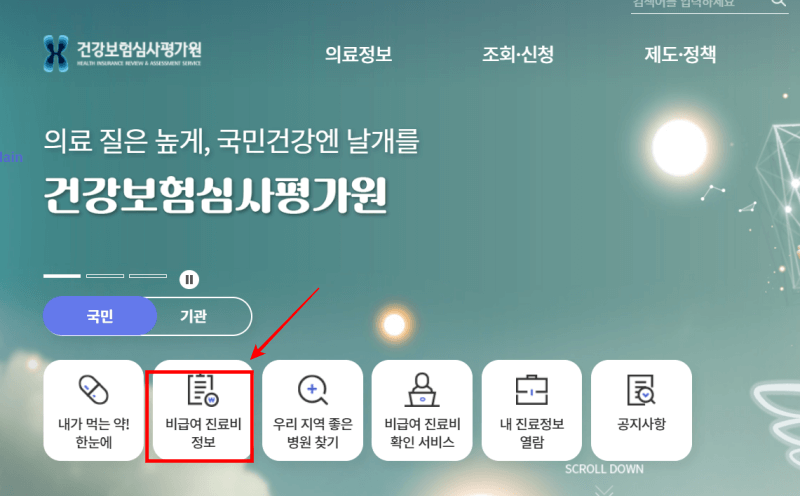 비급여-진료비-확인-방법-1