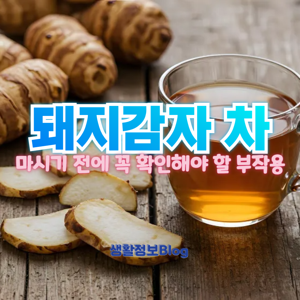 돼지감자 차 부작용