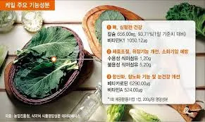 칼슘 하루 권장량