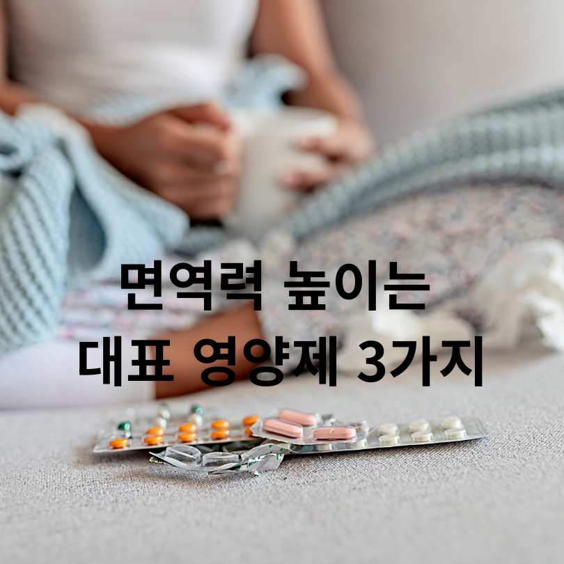 면역력 높이는 영양제 추천